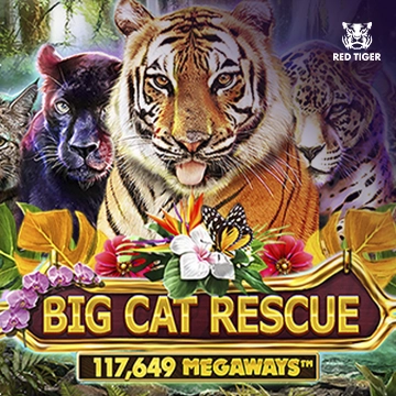 Big Cat Rescue Megaways - ADAGAMING168