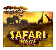 Safari Heat - ADAGAMING168