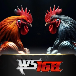 Ws168 Sabung - ADAGAMING168