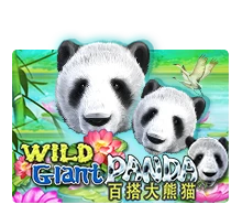 Wild Giant Panda - ADAGAMING168
