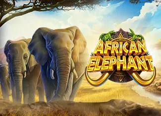African Elephant - ADAGAMING168